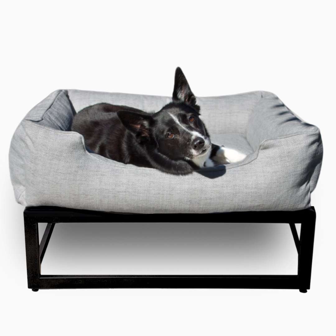The FÜZI Dog Bed