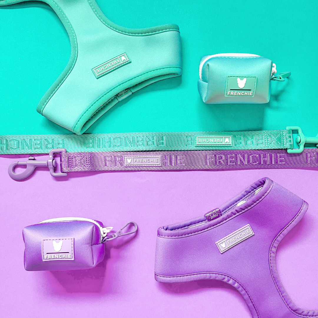 Frenchie Comfort Leash - Solid Aqua