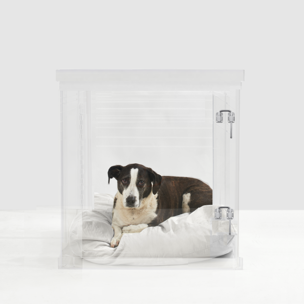 Medium Crate (Silver Latch)