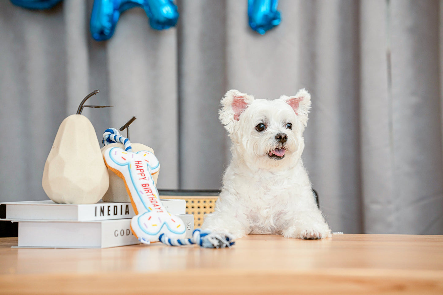 BIRTHDAY BONE