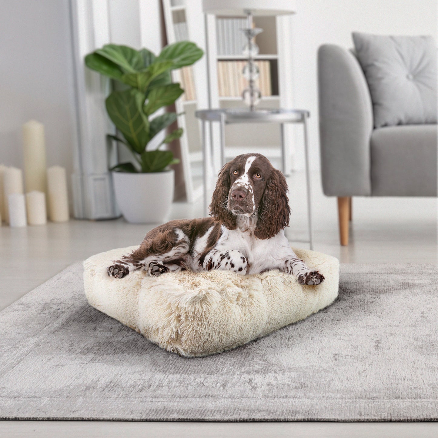 Rectangle Bed