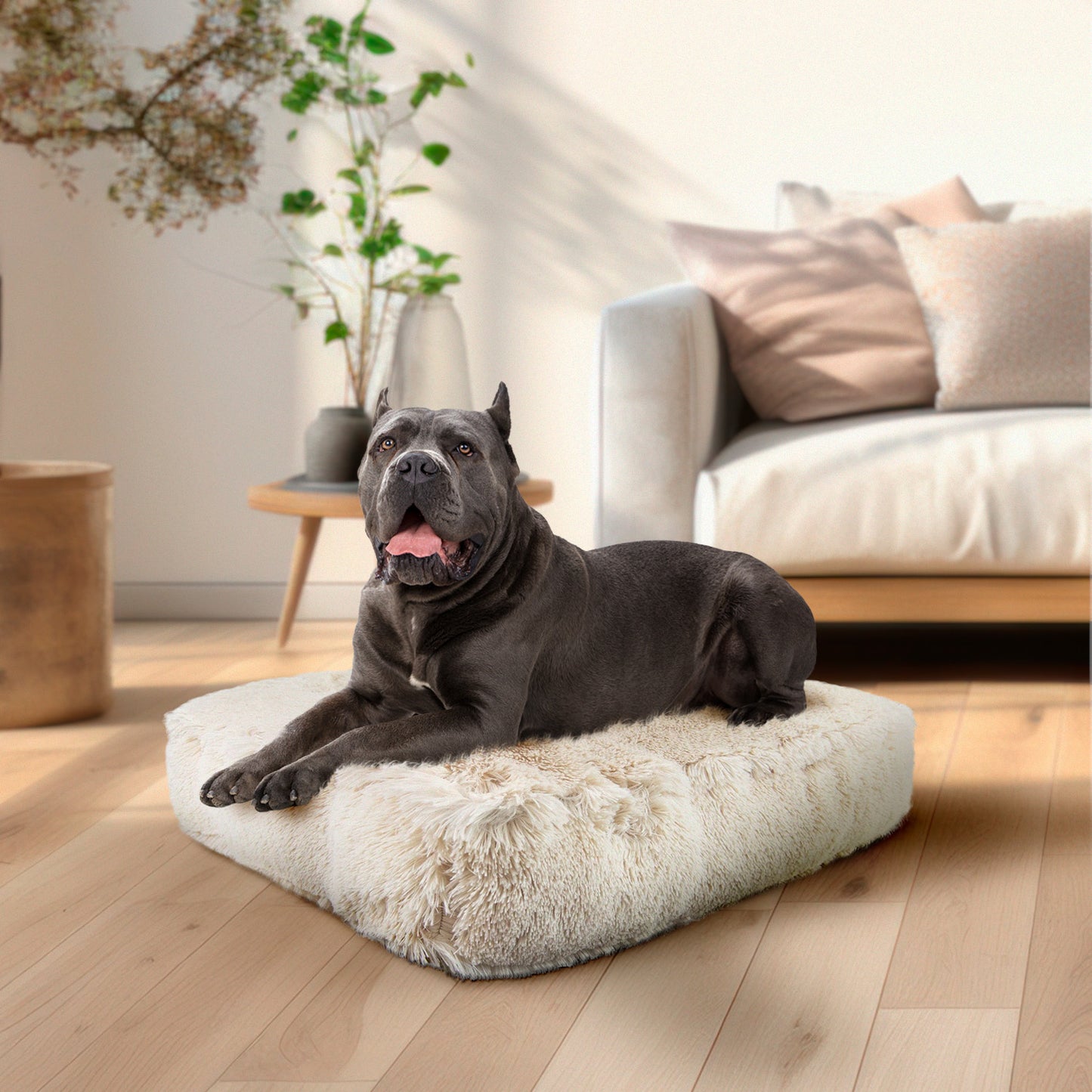 Rectangle Bed (coming soon)