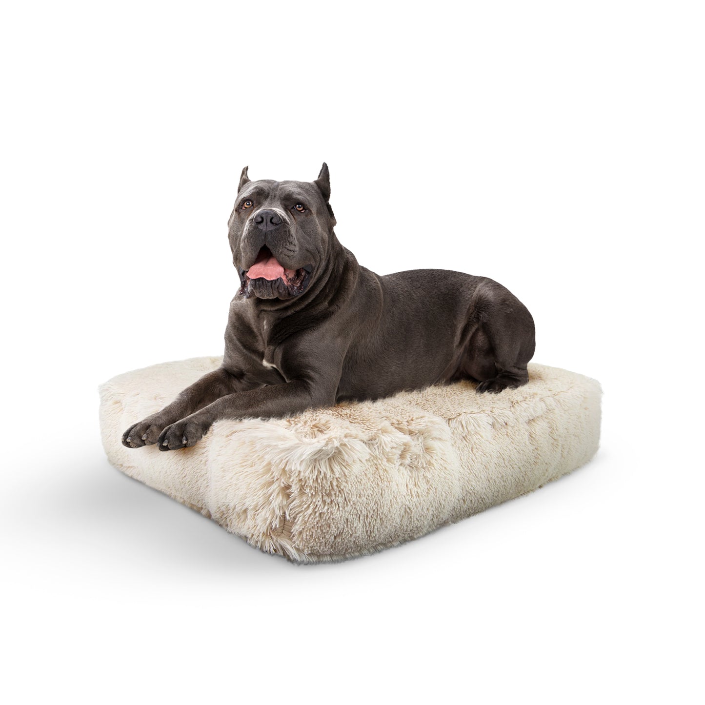 Rectangle Bed (coming soon)