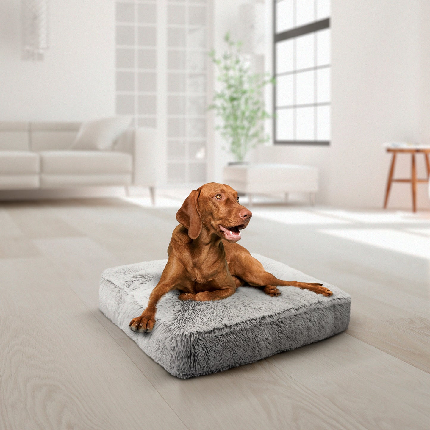 Rectangle Bed (coming soon)