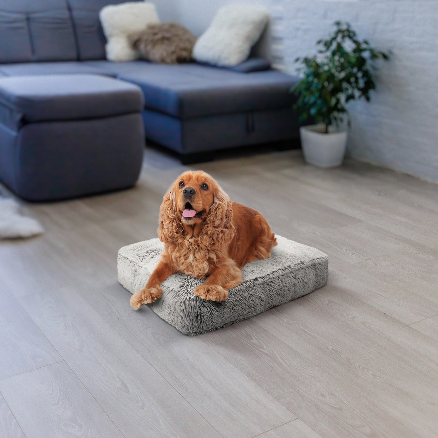 Rectangle Bed