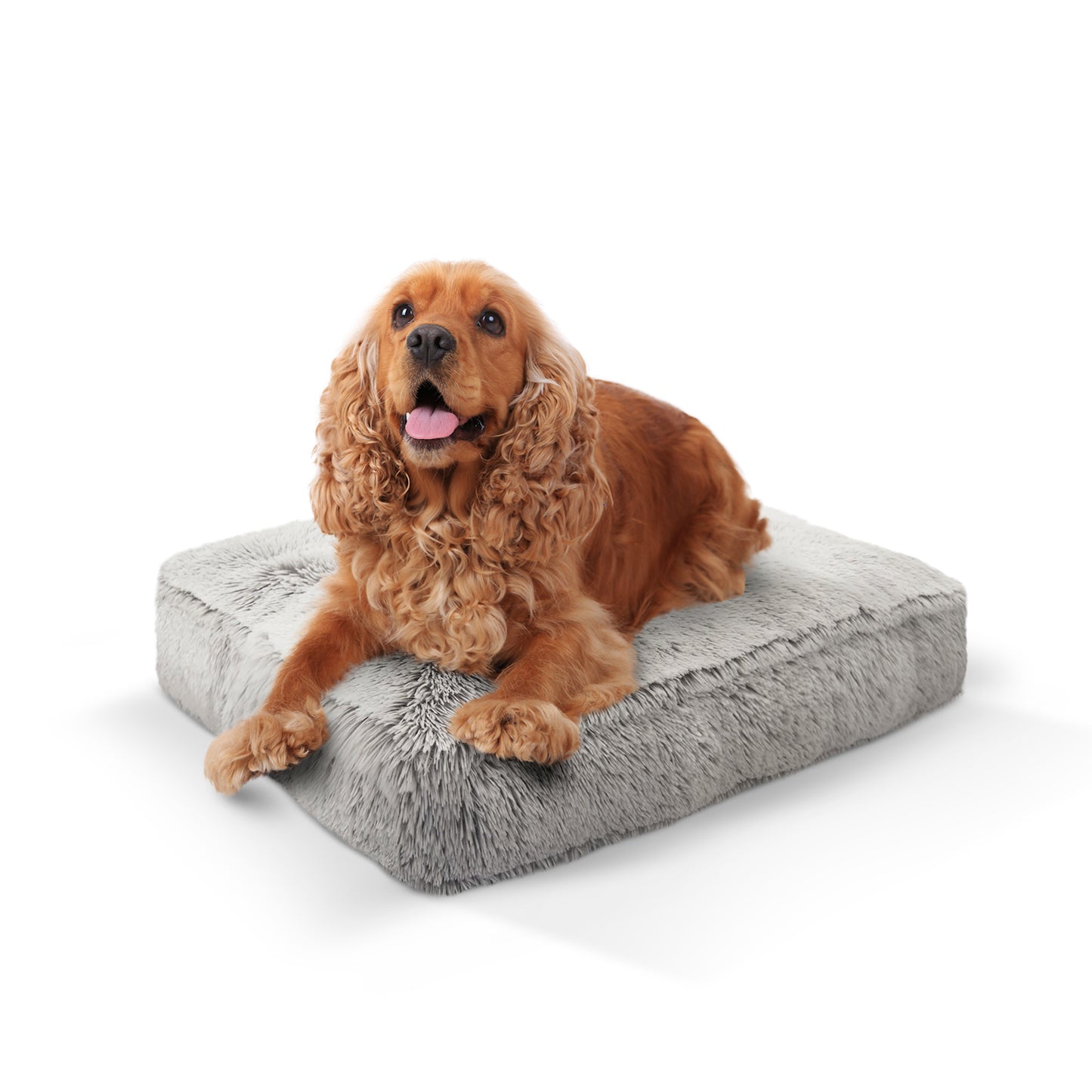 Rectangle Bed (coming soon)