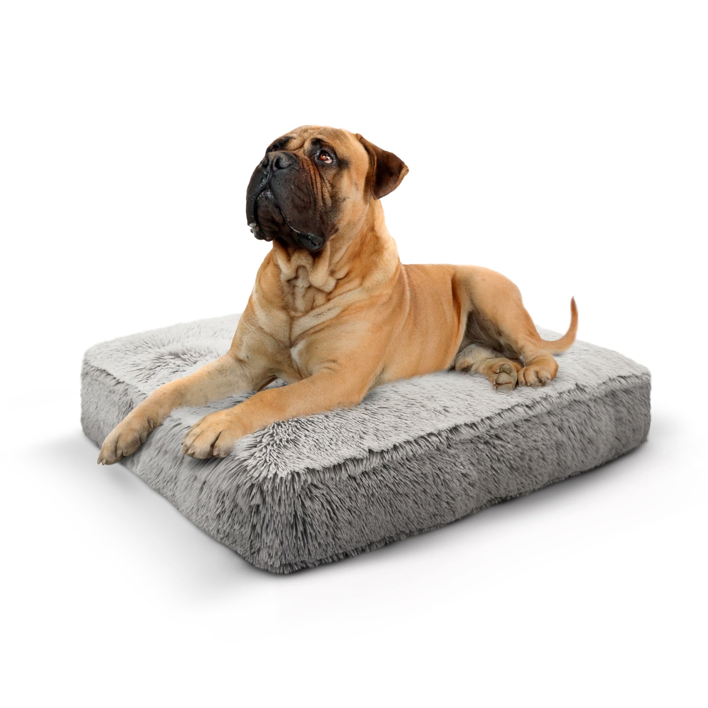Rectangle Bed (coming soon)