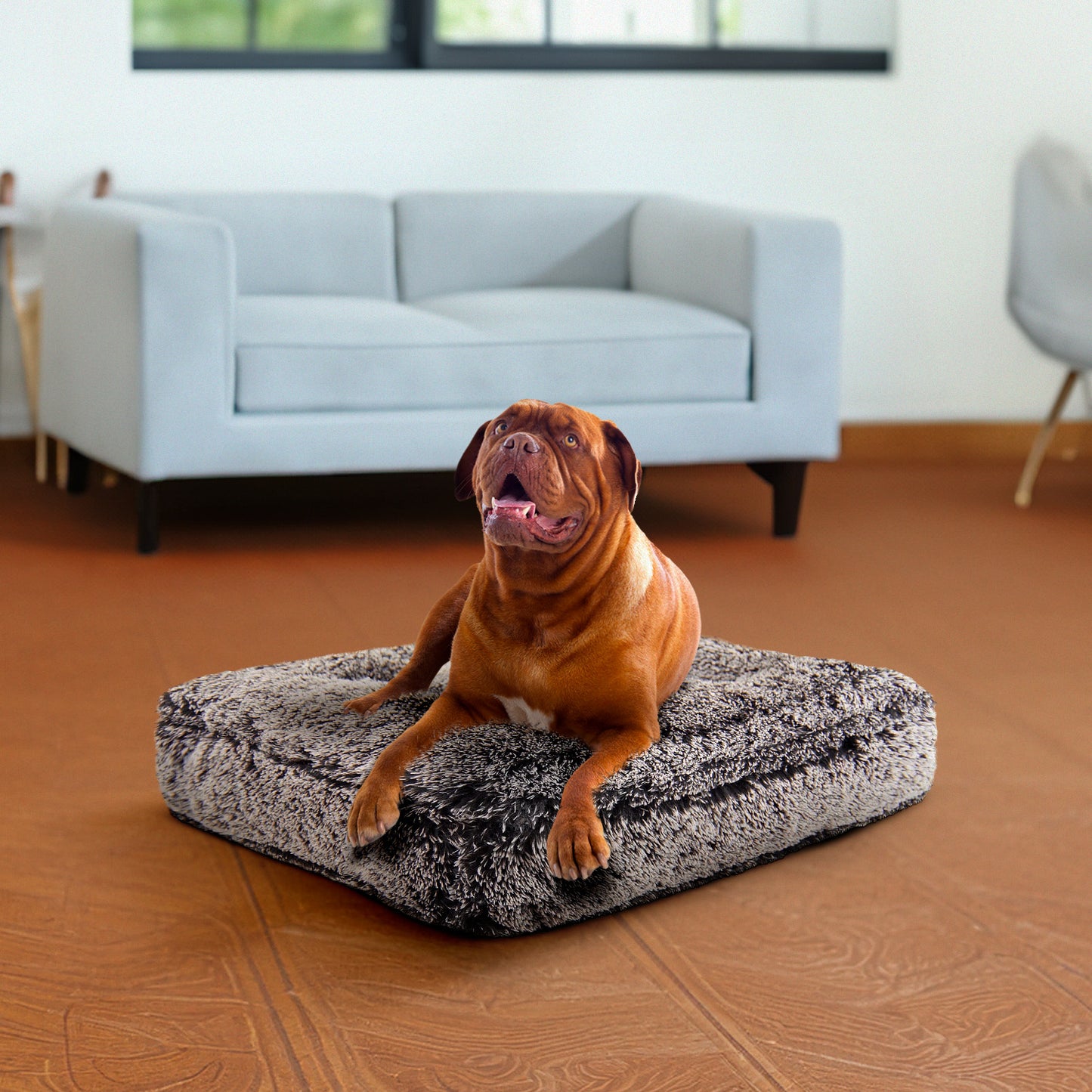 Rectangle Bed