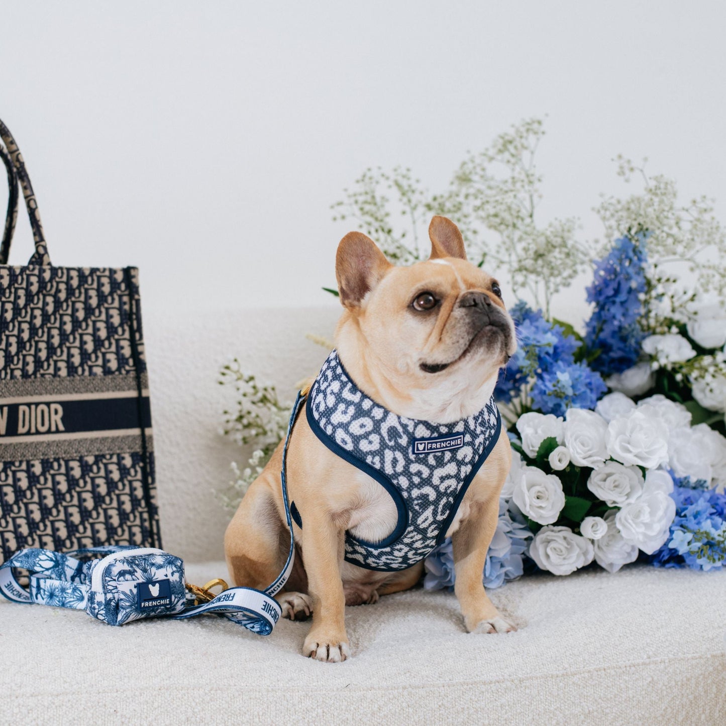 Frenchie Duo Reversible Harness - Toile (Blue)