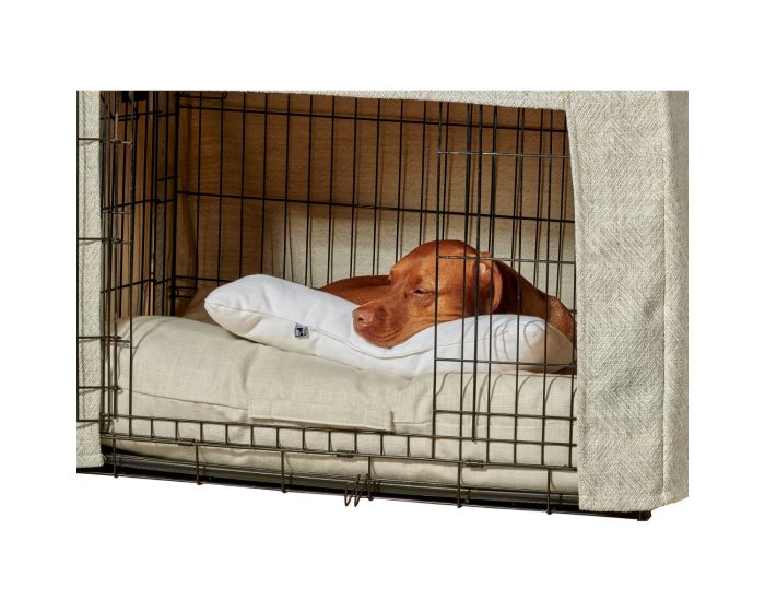 Bumper Bone Pillow