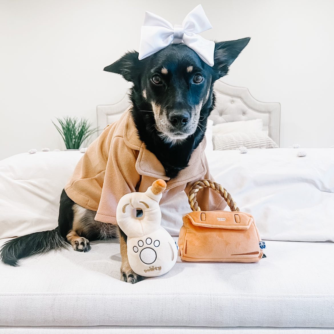 BARKIN BAG