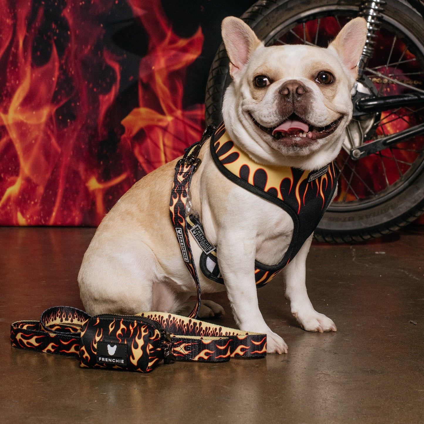 Frenchie Poo Bag Holder - Flames (Orange)