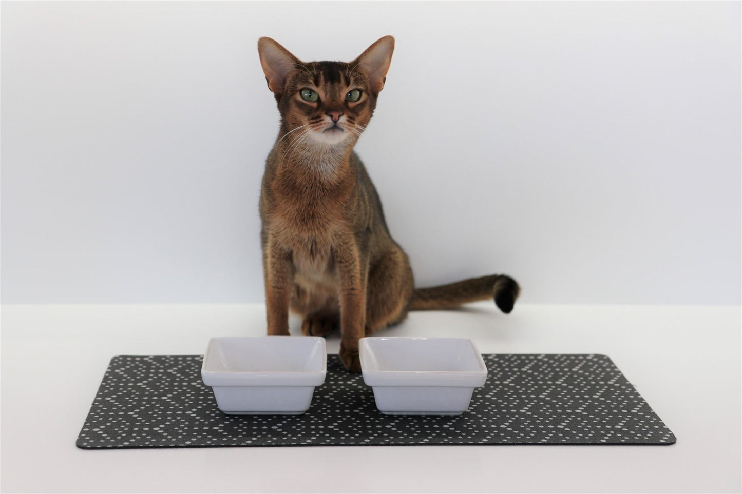 Ceramic Bowls