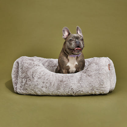 The Sammy Bolster Dog Bed