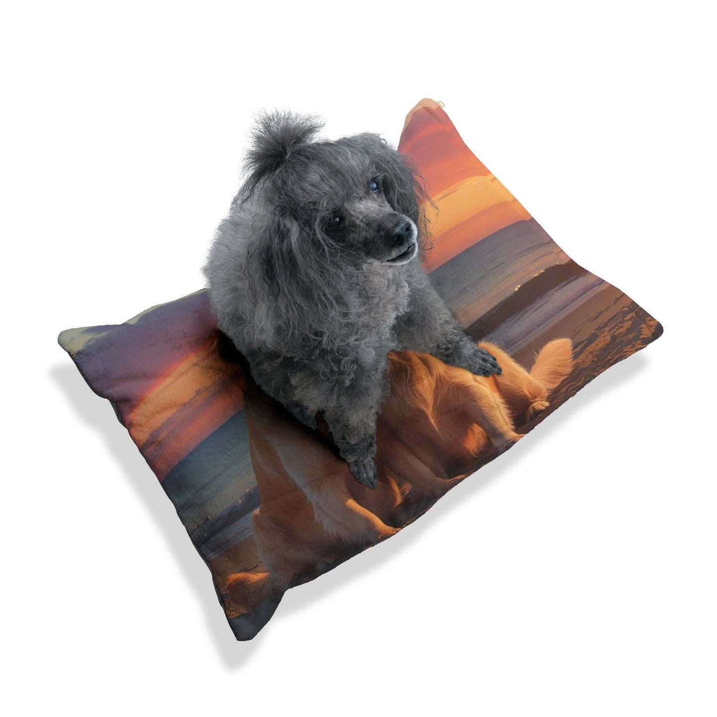 Golden Retriever Love Pet Bed