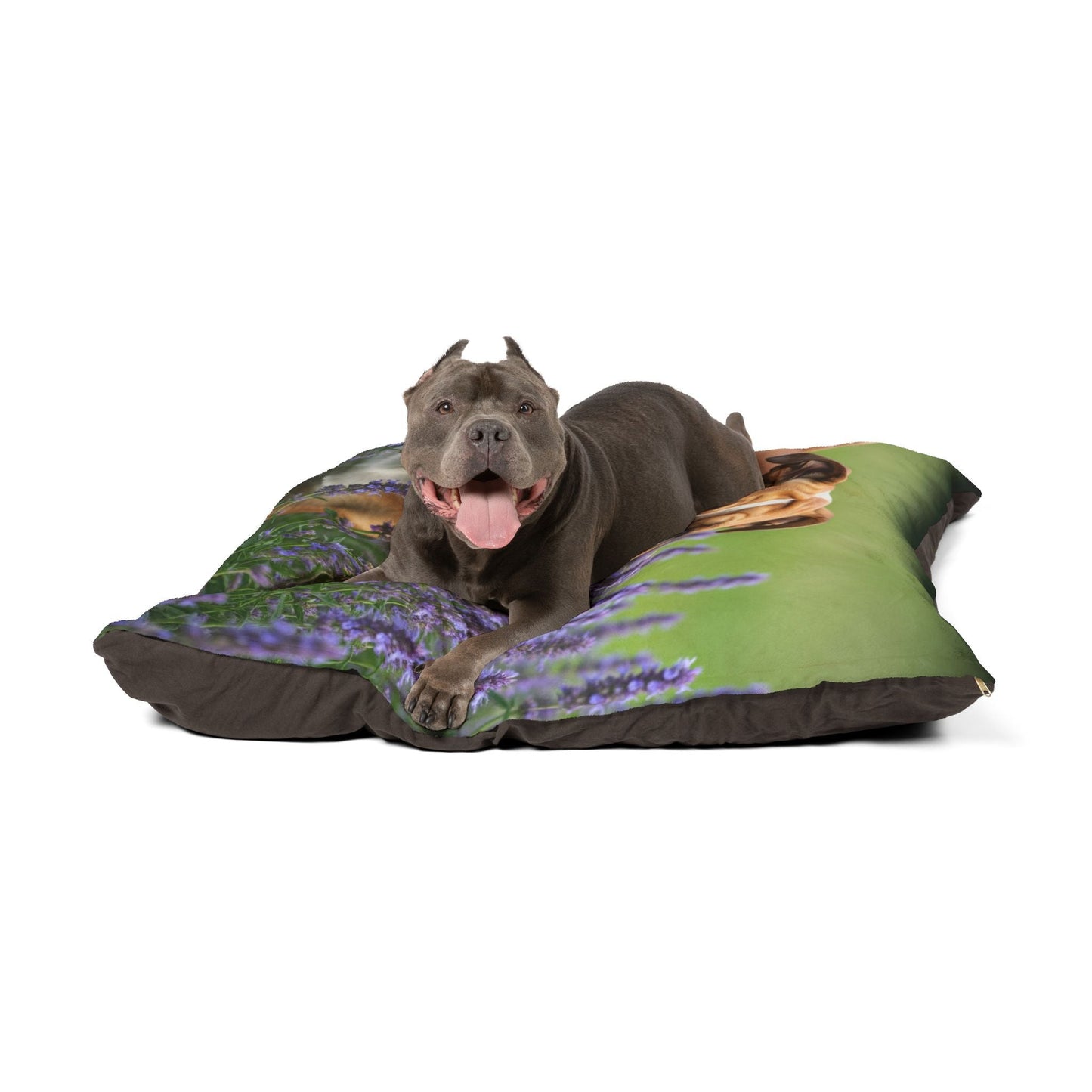 British Bulldog Pet Bed
