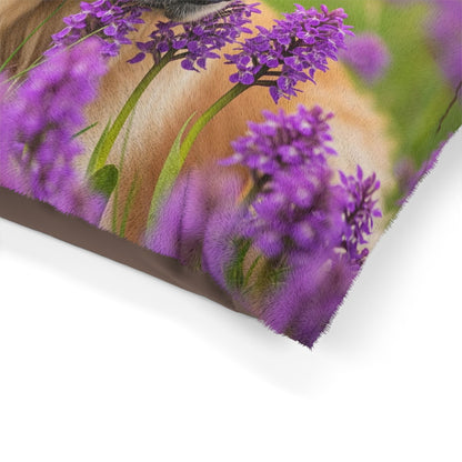 Golden Retriever Pet Bed