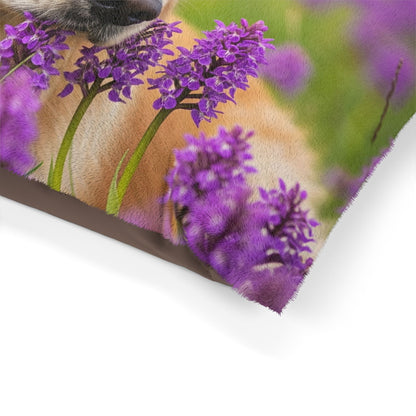 Golden Retriever Pet Bed