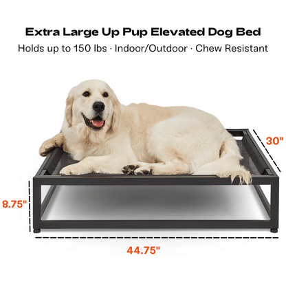 The Up Pup Dog Bed