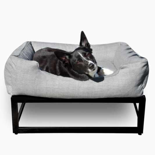The FÜZI Dog Bed