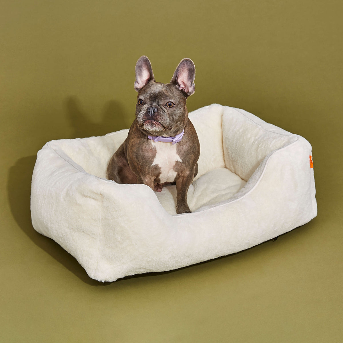 The Sammy Bolster Dog Bed