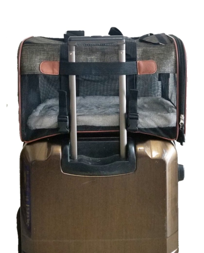Mr. Peanut's Rhodium Series Mini Size Soft Sided Pet Carrier - Note Sizing in Description