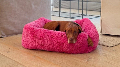 Rectangle Bed Franklin Bed Bowsers
