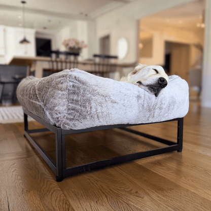 The FÜZI Elevated Dog Bed