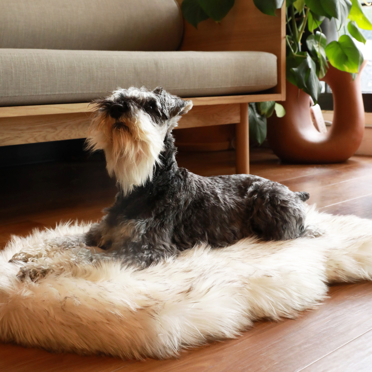 PupRug Faux Fur Orthopedic Dog Bed - Curve White with Brown Accents