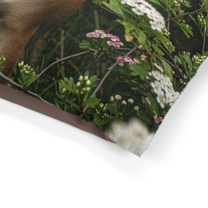 Olde English Bulldogge Pet Bed