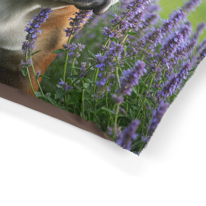 British Bulldog Pet Bed