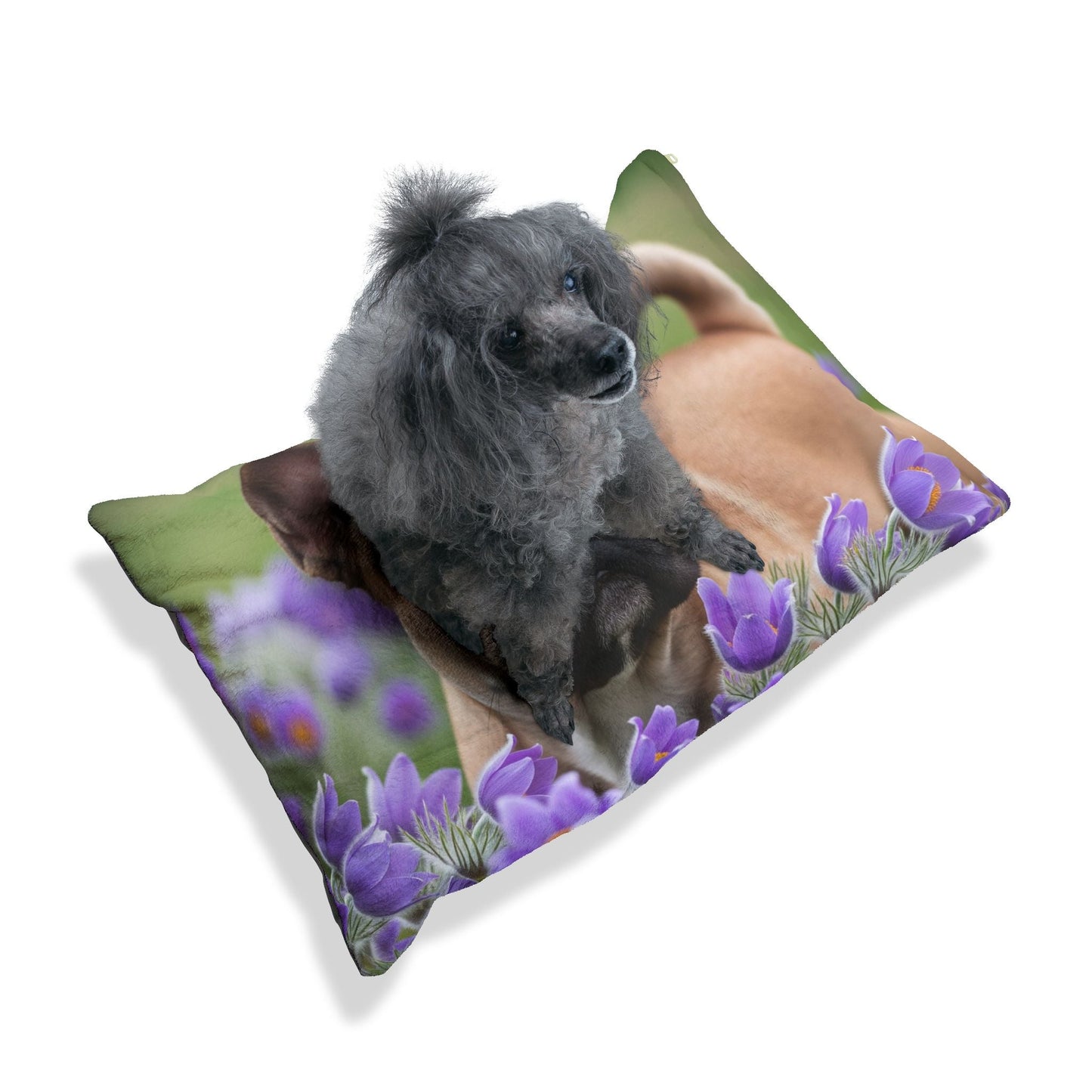 French Bulldog Pet Bed