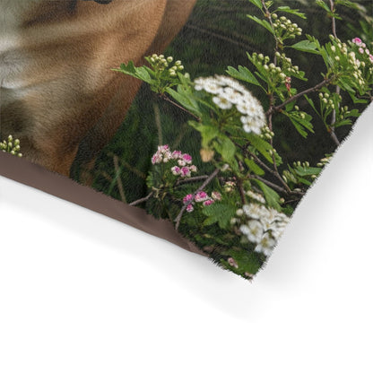 Olde English Bulldogge Pet Bed