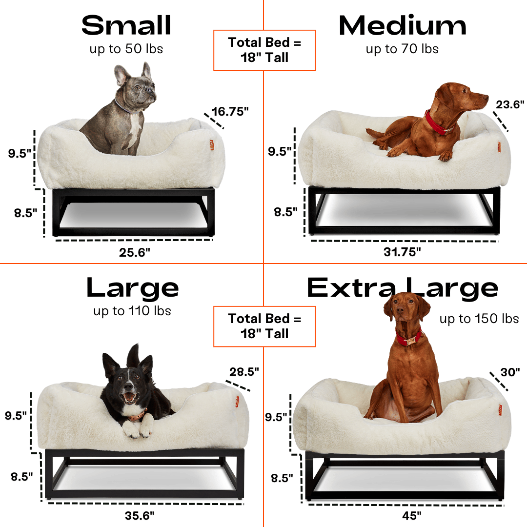 The FÜZI Elevated Dog Bed