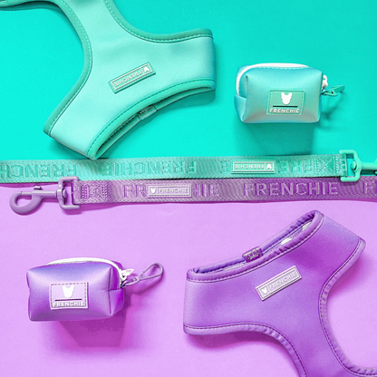 Frenchie Comfort Leash - Solid Aqua