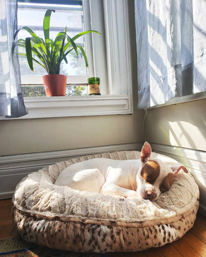 Bagel Bed Build your Own