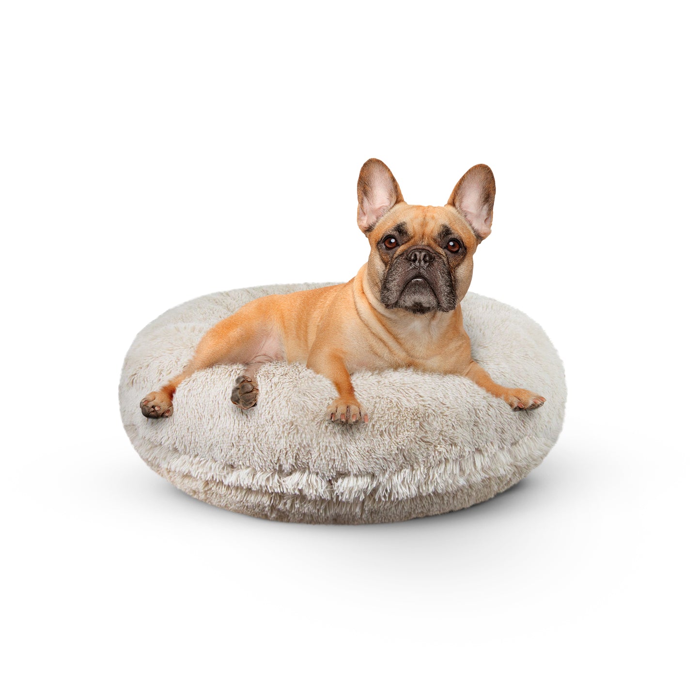 Bagel Bed
