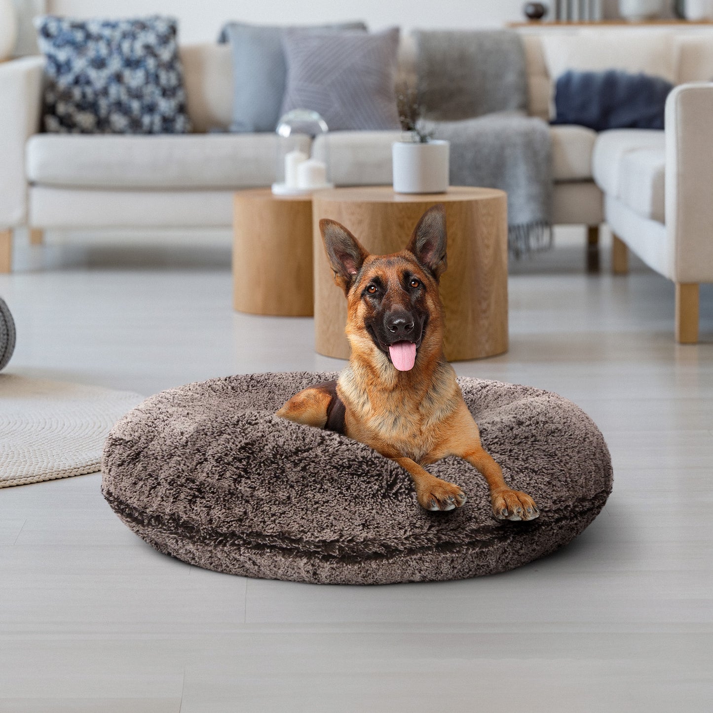 Bagel Bed