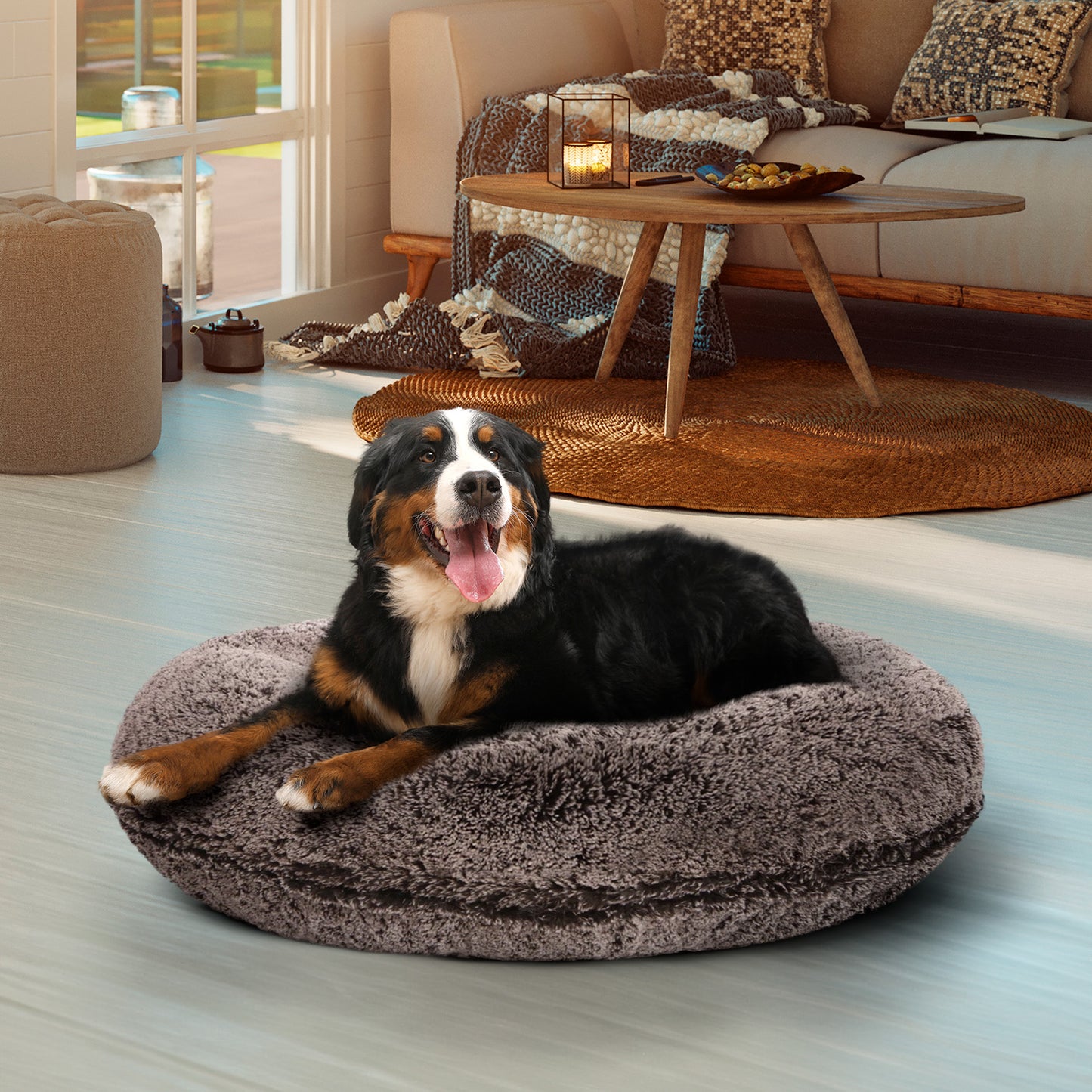 Bagel Bed