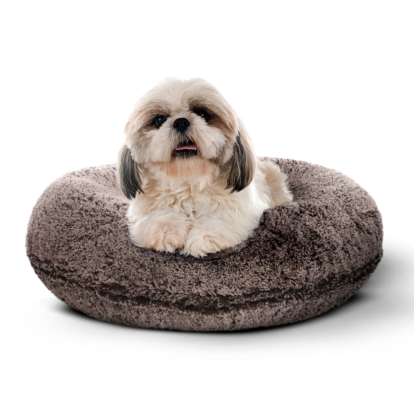 Bagel Bed