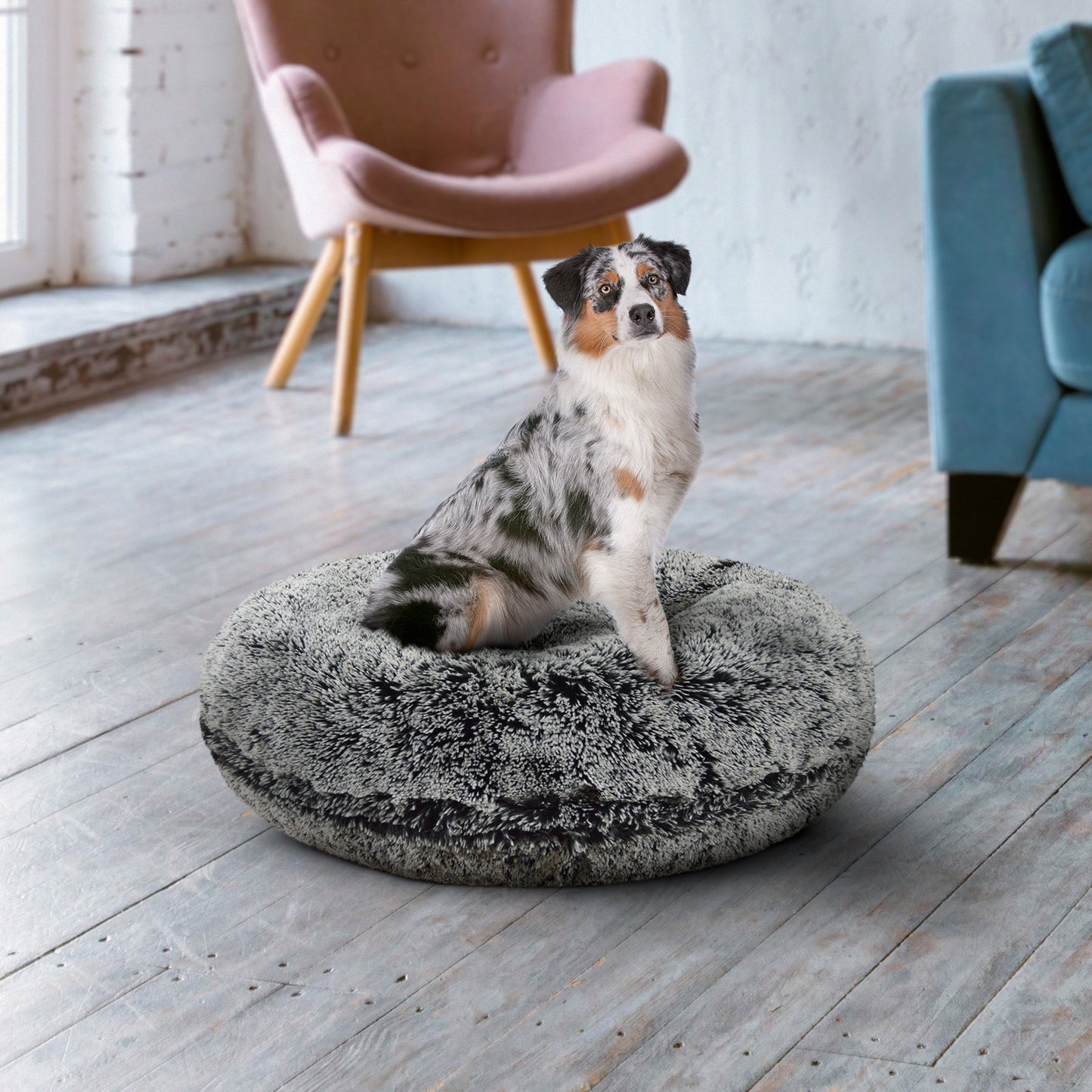 Bagel Bed