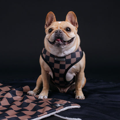 Frenchie Duo Reversible Harness - Solid Black