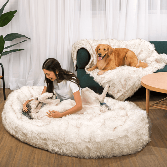 PupCloud™ Human-Size Dog Bed + Matching Waterproof Blanket Bundle - White with Brown Accents PAW