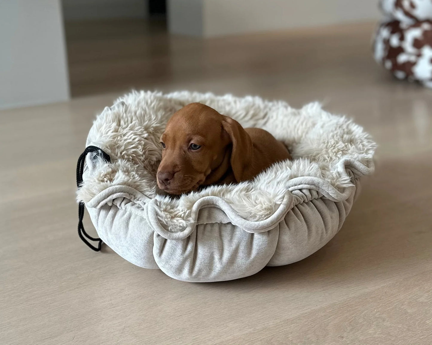 Cuddle Pod