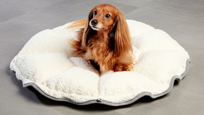 Cuddle Pod