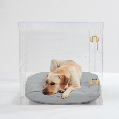 Large Crate (Gold Latch)