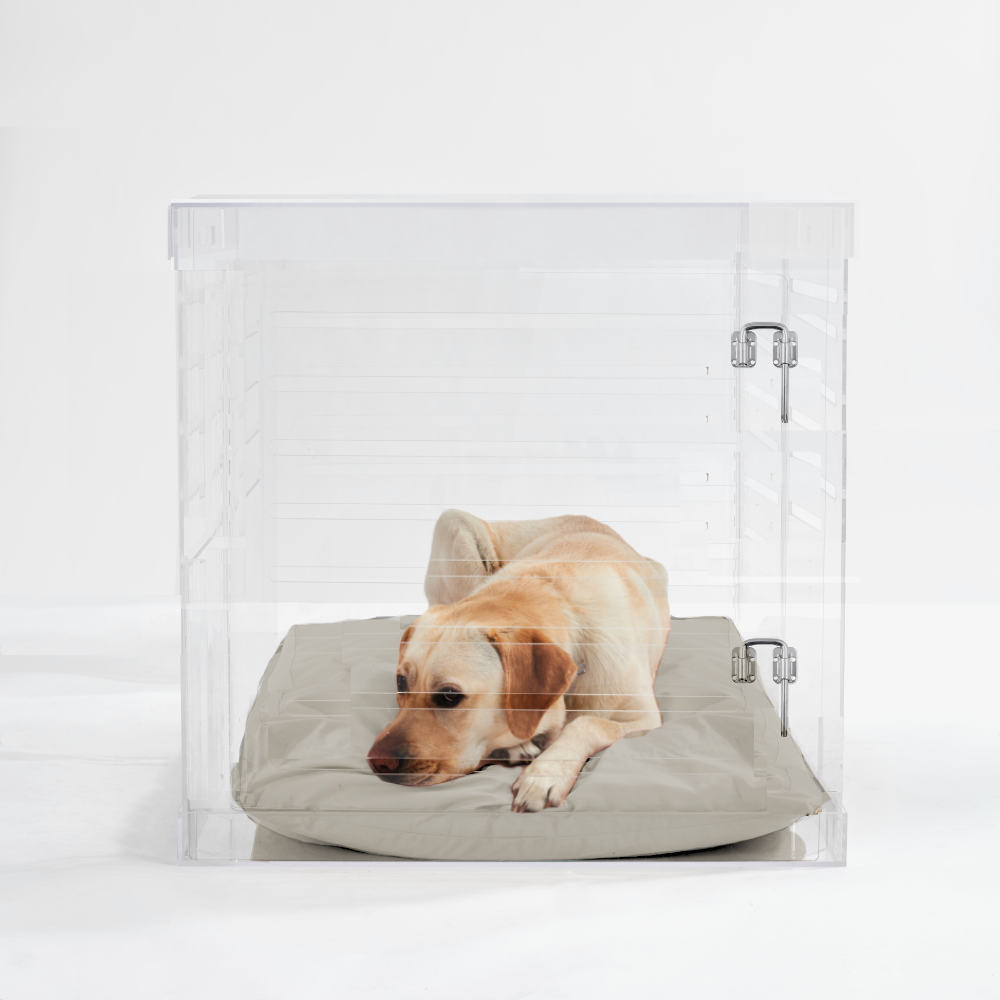 Large Crate (Silver Latch)