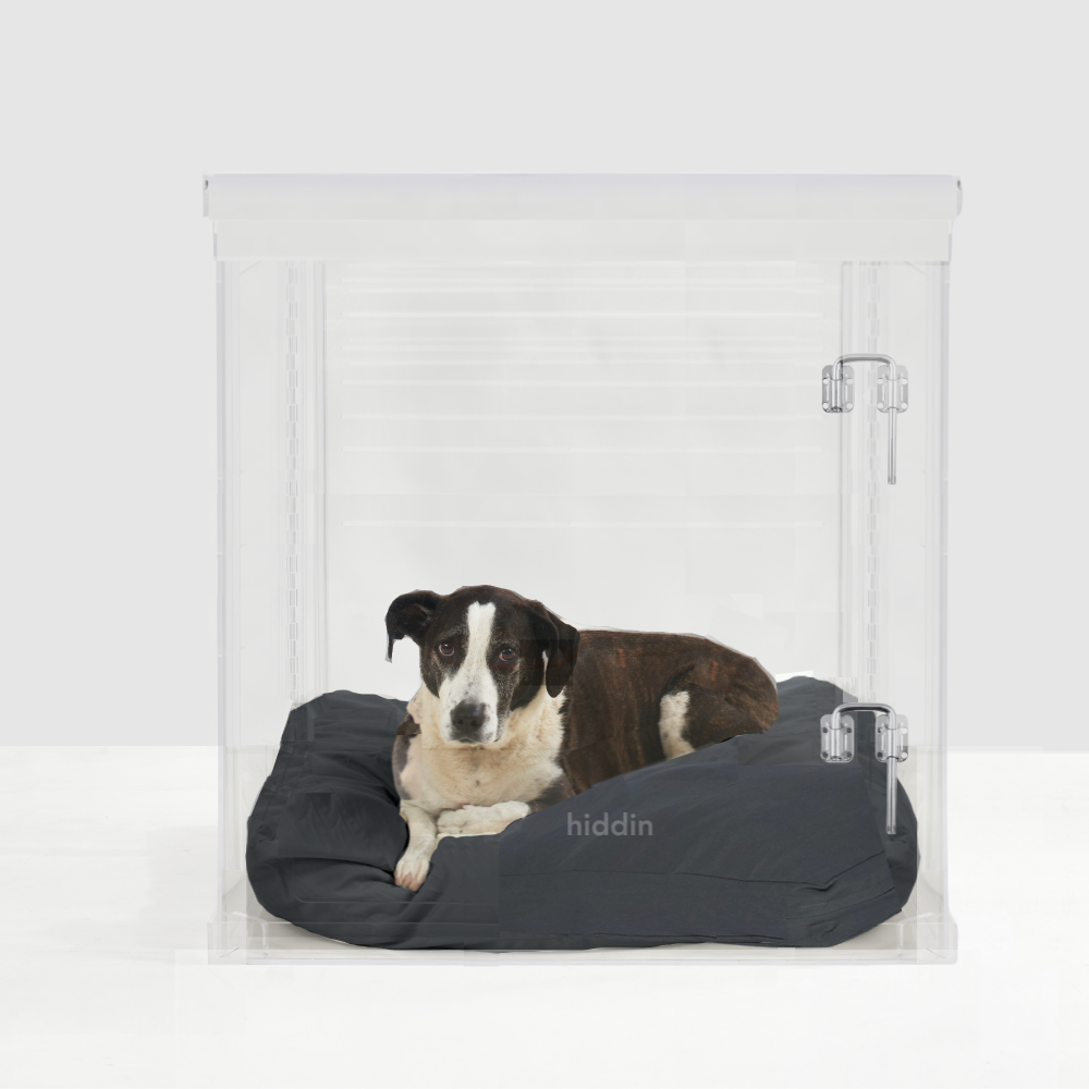 Large Crate (Silver Latch)