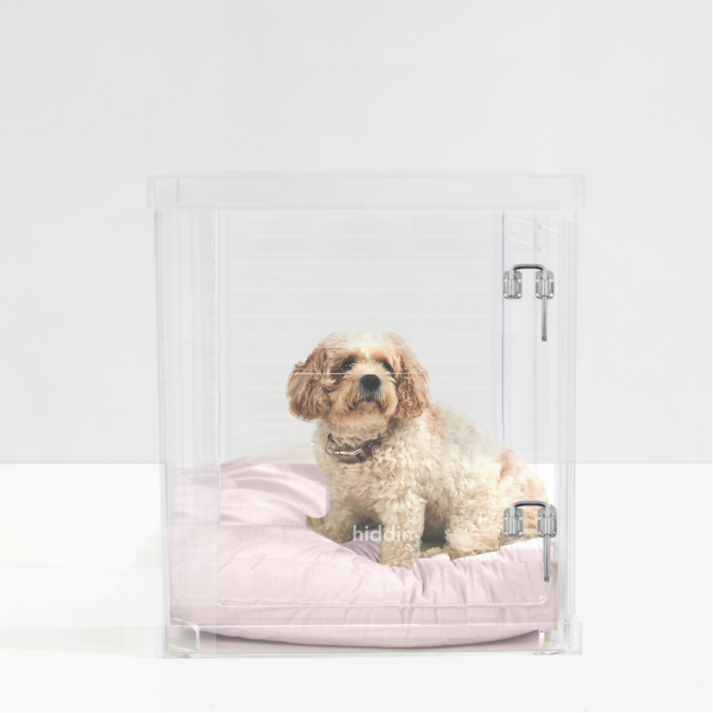 Medium Crate (Silver Latch)