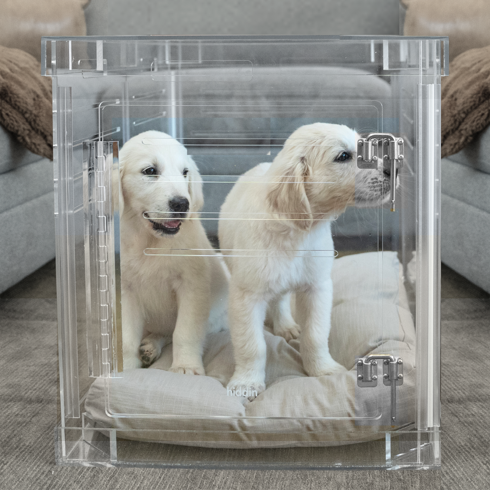Medium Crate (Silver Latch)